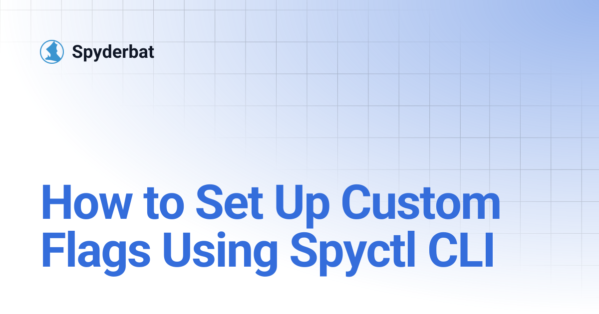 How to Set Up Custom Flags Using Spyctl CLI | Spyderbat